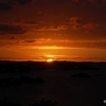 DSC_6692