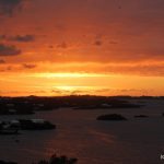DSC_6694
