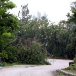 East End During Hurricane Igor Bermuda Sept 20 2010 (12)