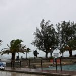 IgorSunday bermuda (10)