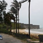 IgorSunday bermuda (18)