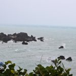 IgorSunday bermuda (19)
