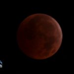 Lunar Eclipse Bermuda Dec 21 2010 (1)