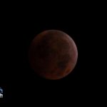 Lunar Eclipse Bermuda Dec 21 2010 (3)