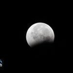 Lunar Eclipse Bermuda Dec 21 2010 (8)