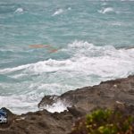 Tropical Storm Maria 2011 bda (1)