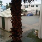 floding at boaz (3)