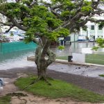 heavy rainfall flooding (10)