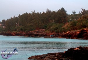 _MG_1798_wm