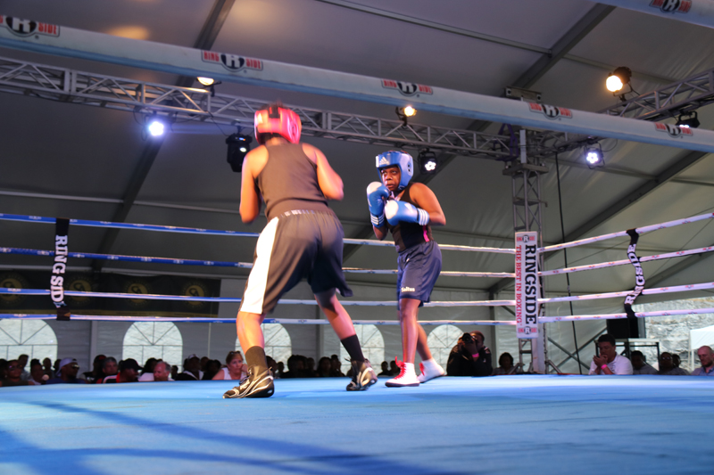 Boxing Bermuda May 8 2017 (4)