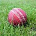 Bermuda To Host International Cricket Matches