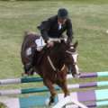 Photos: Ag Show Equestrian Events
