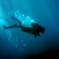 NYT Lists Bermuda as Top Scuba Diving Area