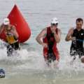 Photos: Bank of Bermuda Triathlon Swimming