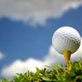 Golf: Pairings For 2011 Bermuda Open