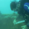 Video: Bermuda Shipwreck Study