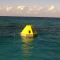 Buoys Deployed Around Coral Reef Preserve