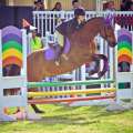 Slideshow: Ag Show Equestrian Events