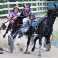 Photos/Video: Harness Pony Racing