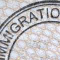 Immigration Policy, Politics Of Population Change