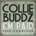 New Collie Buddz Song: ‘I’m Paid’