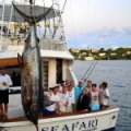 Photos/Video: 1289lb Blue Marlin Caught
