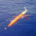 Unidentified Floating Object In Bermuda’s Waters