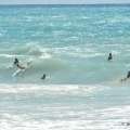 Horseshoe Closed: Dangerous Surf Conditions