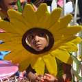 Photos/Video: Preschool Mini May 24th Parade