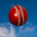 ICC WCL Cricket: Bermuda Lose To Nepal