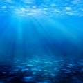 BIOS Study Helps Confirm Ocean Acidification