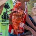 Photos/Video: Groundswell Lionfish Tournament