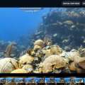Take A Virtual Dive With Catlin Seaview Survey