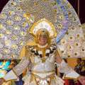 Video/Photos: Carnival Revelers In St George’s
