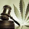 British Woman Charged With Importing Cannabis