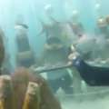 Video: Visitor Films Bermuda Undersea Walk