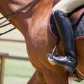 Ag Show Equestrian Event Gets Underway