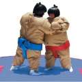 Politicians To Face Off In Sumo Wrestling Match