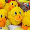 Photos & Video: Annual Rubber Duck Derby