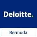 Deloitte Release 2016/17 ‘Budget Snapshot’