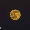 Honey Moon Illuminates Bermuda’s Night Sky