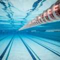 Swim Age Group Championships Top Performers