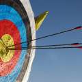 Archers Compete In Belgium Online Shoot
