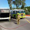 Photos: Smoke Emanating From Back Of Bus