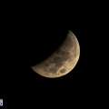 Photos: Lunar Eclipse Graces Bermuda Sky
