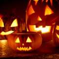 Halloween: Police Thank Public For Cooperation