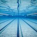 Paris Olympics Hopefuls Set For Swim Meet