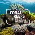 Catlin Joins UK Museum: Coral Reef Exhibition