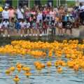 Photos/Video: Rubber Duck Derby In St George’s
