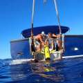 Two New Underwater Gliders Arrive At BIOS
